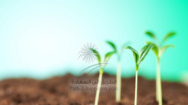 نور السماء (حاجة الإنسان إلى الرسالة)